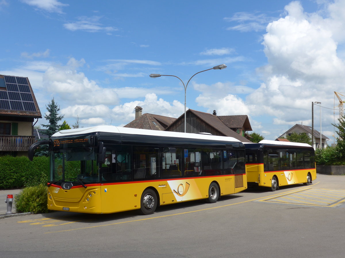 (181'987) - Moser, Flaach - Nr. 289/ZH 480'005 - Gppel am 10. Juli 2017 in Altikon, Brckenwaage