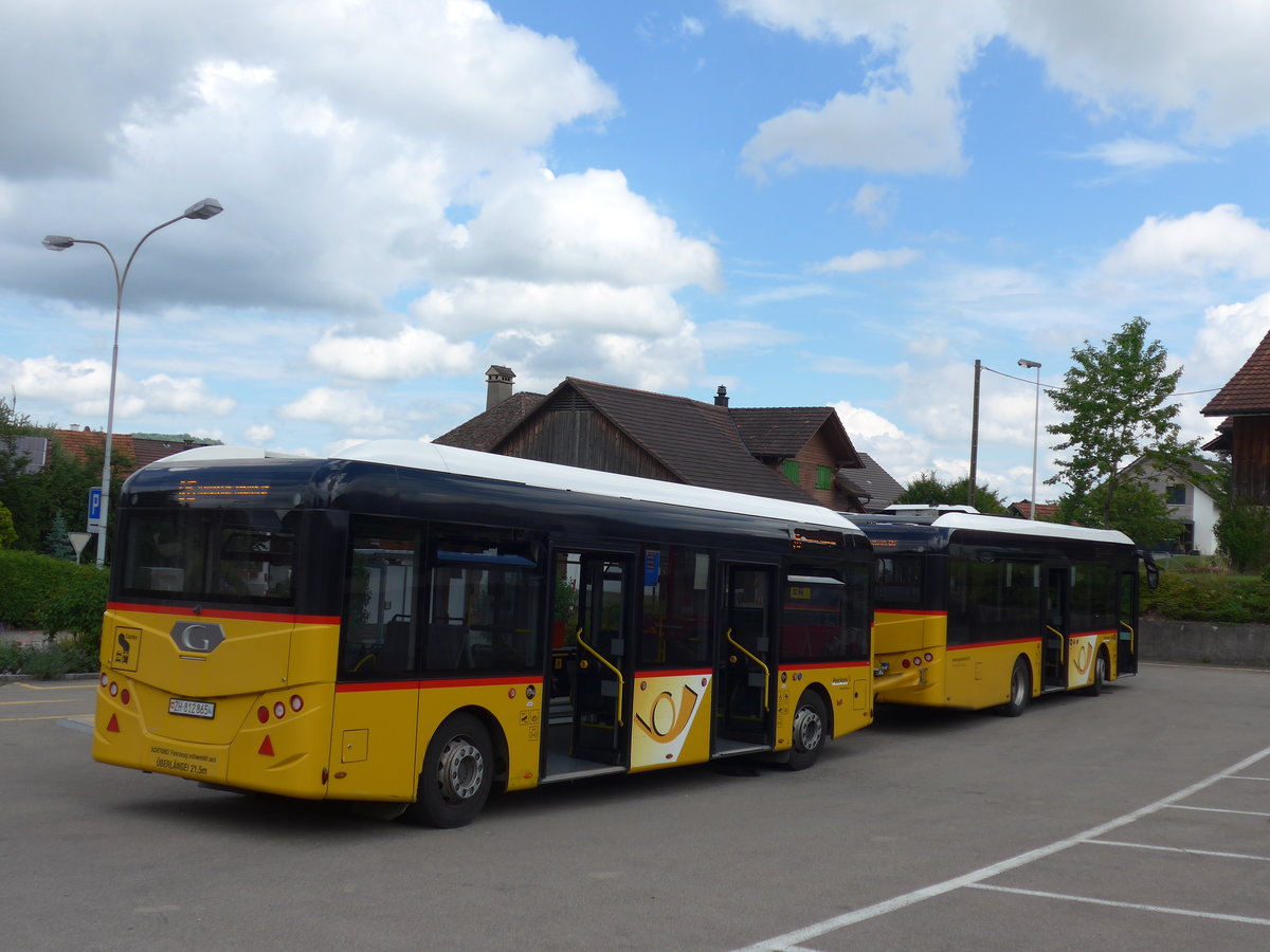 (181'995) - Moser, Flaach - Nr. 290/ZH 812'865 - Gppel Personenanhnger am 10. Juli 2017 in Altikon, Brckenwaage