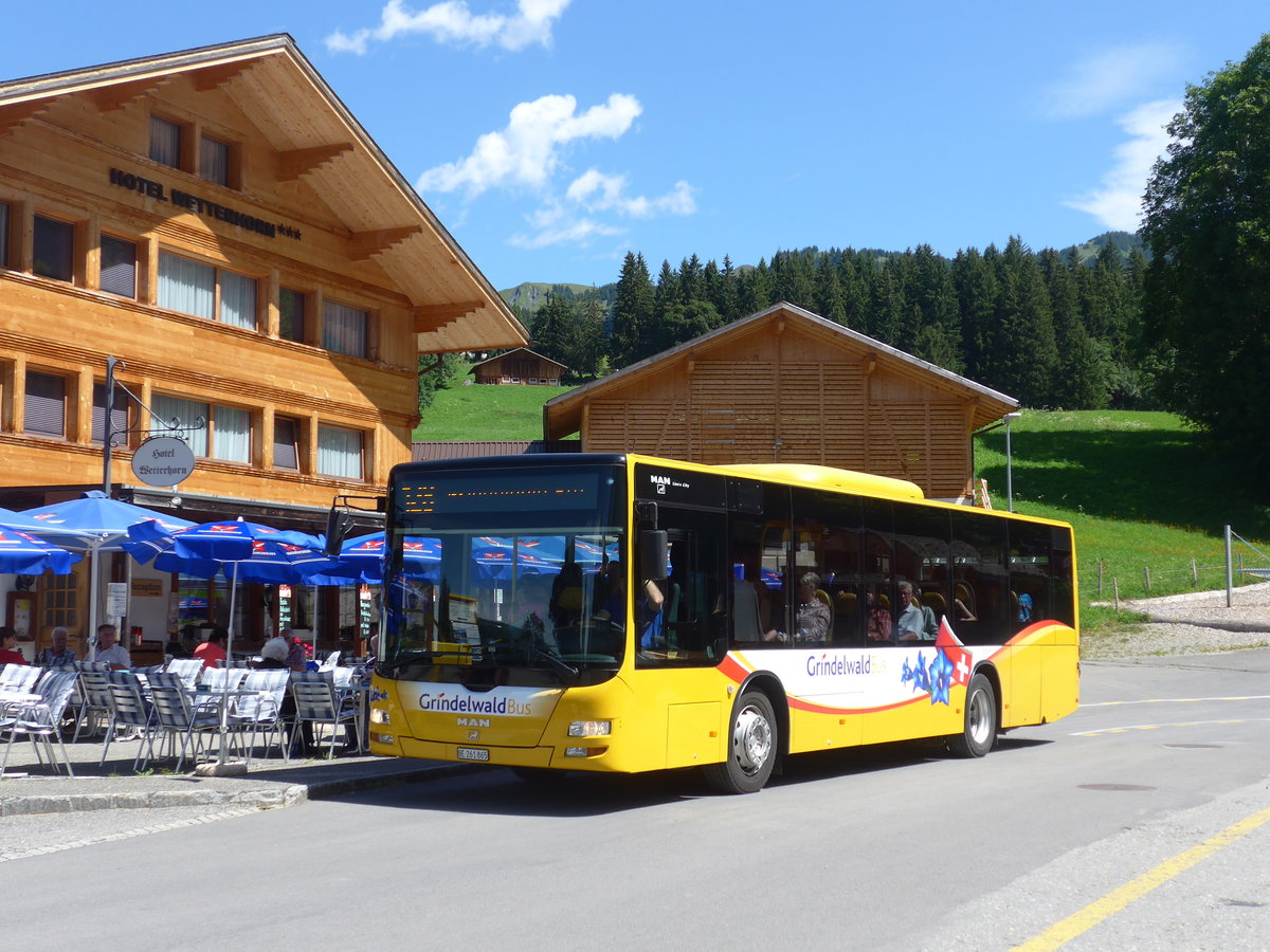 (182'347) - AVG Grindelwald - Nr. 11/BE 261'865 - MAN/Gppel am 30. Juli 2017 in Grindelwald, Oberer Gletscher