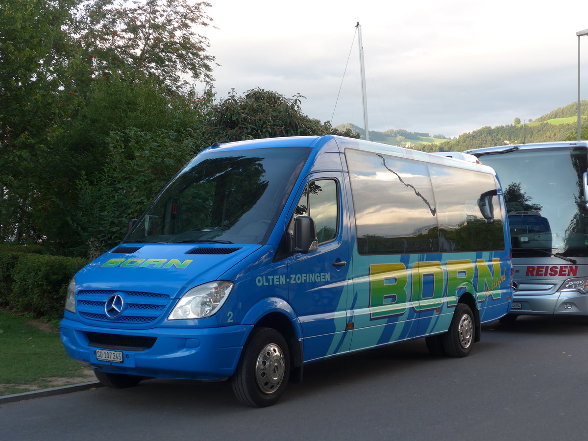 (182'797) - Born, Olten - Nr. 2/SO 107'245 - Mercedes am 5. August 2017 in Thun, Strandbad