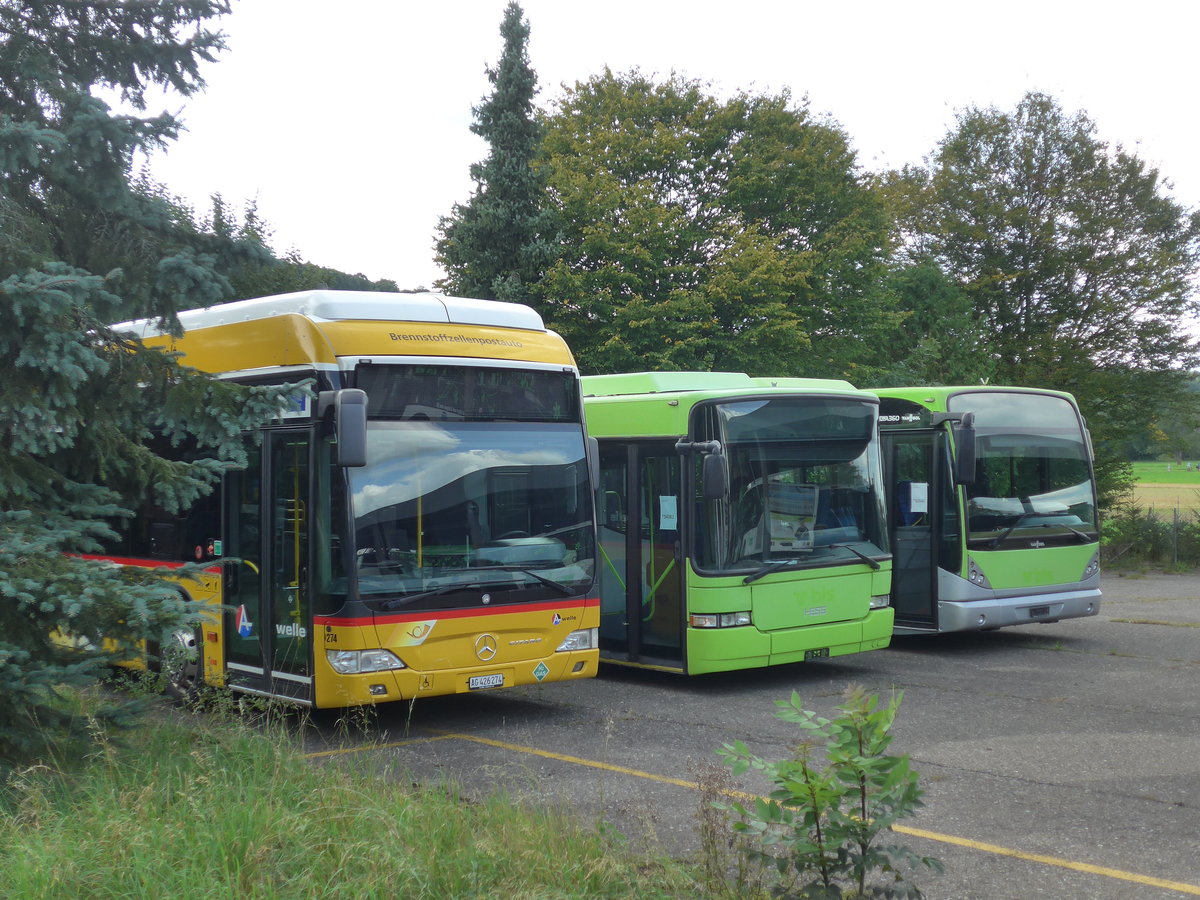 (183'752) - Voegtlin-Meyer, Brugg - Nr. 274/AG 426'274 - Mercedes am 20. August 2017 in Dbendorf, EvoBus (Teilaufnahme)