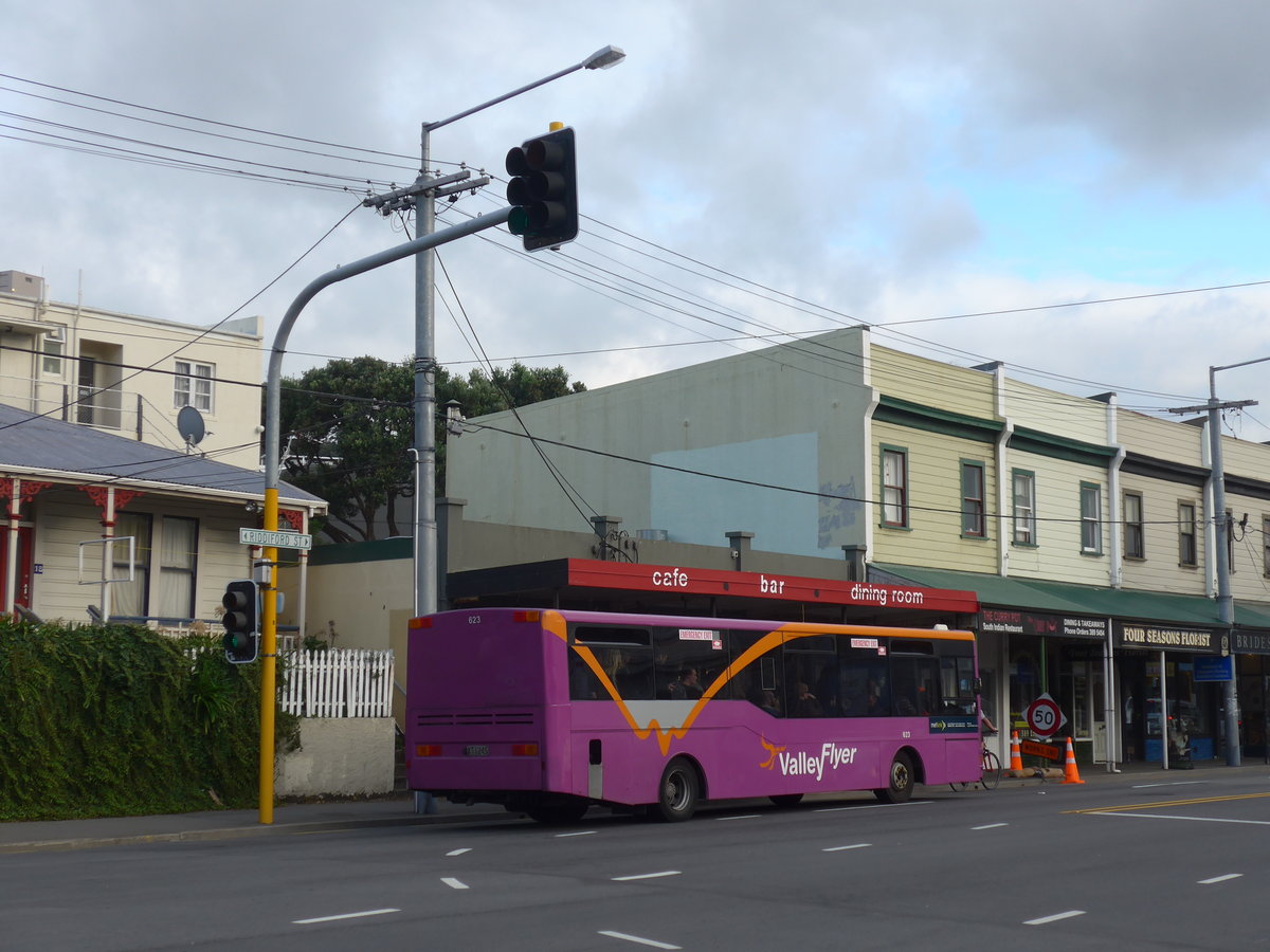 (191'574) - GO Wellington - Nr. 623/XT1245 - MAN/Designline am 27. April 2018 in Wellington, Spital