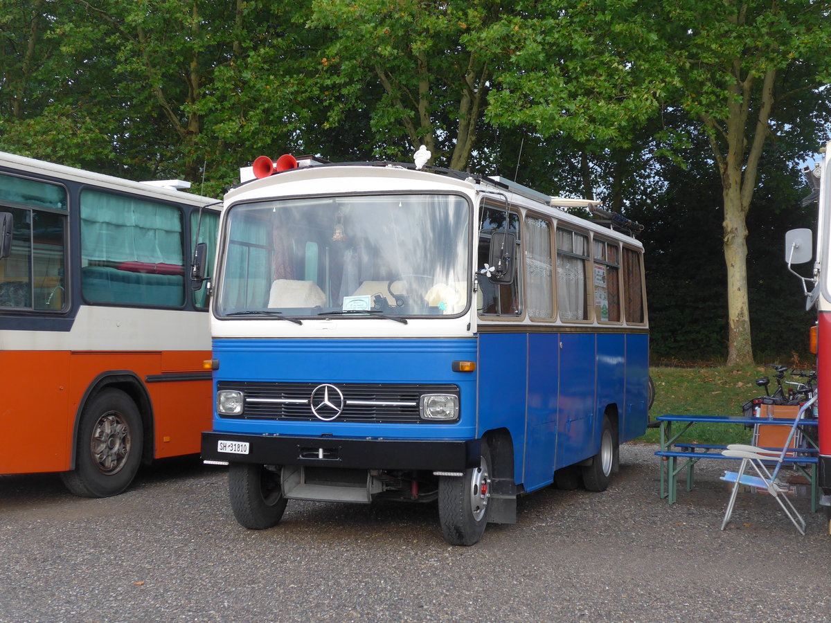 (195'873) - Niederer P., Langwiesen - SH 31'810 - Mercedes/R&J (ex Stoll, Wilchingen) am 17. August 2018 in Wettingen, Zirkuswiese