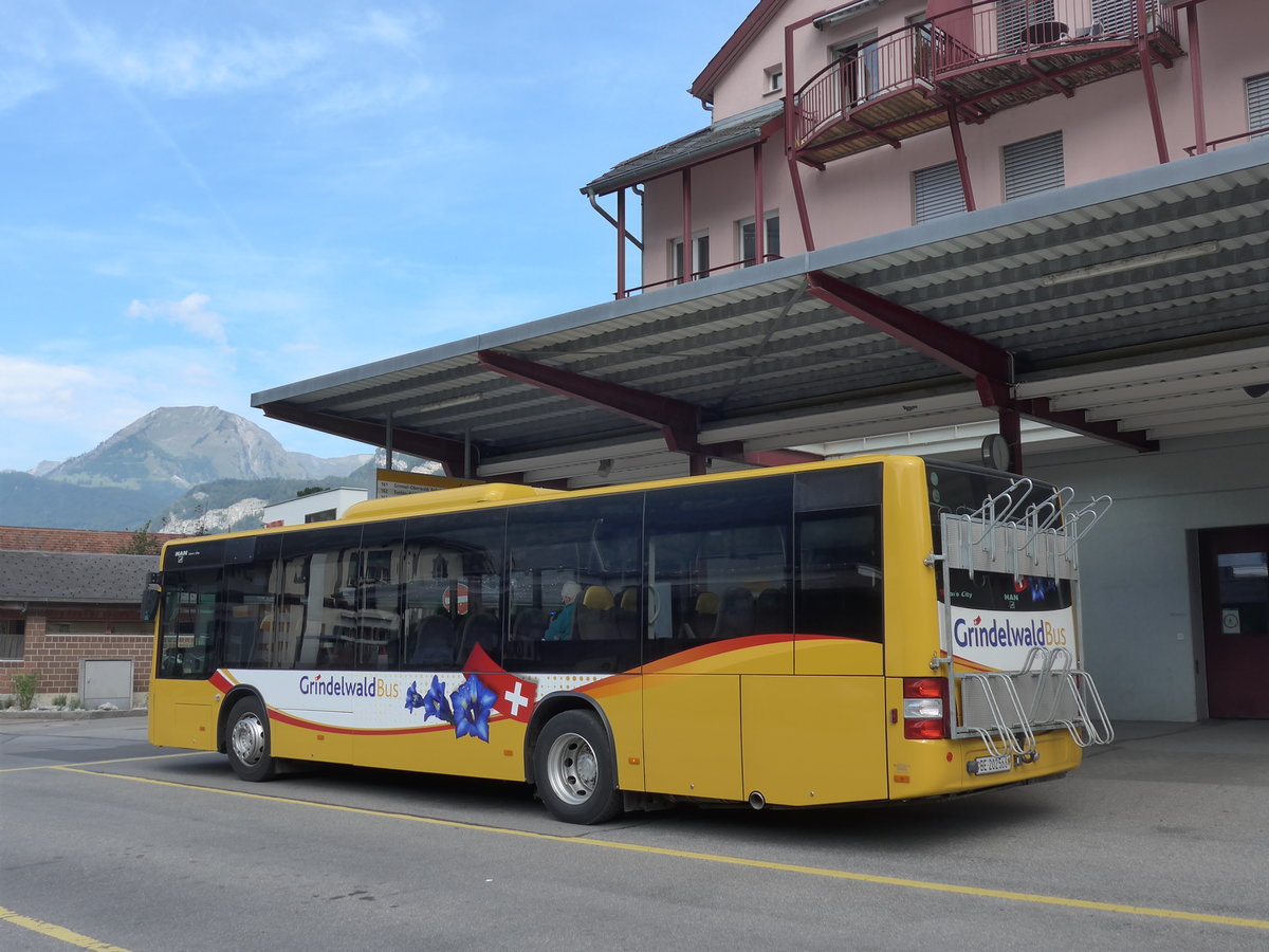 (197'676) - AVG Grindelwald - Nr. 14/BE 202'568 - MAN/Gppel am 16. September 2018 in Meiringen, Postautostation