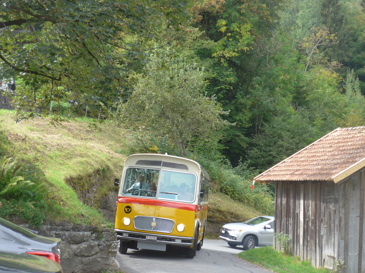 (197'750) - Frutig, Birmensdorf - ZH 560'883 - FBW/FHS (ex P 23'217) am 16. September 2018 in Meiringen, Zwirgi