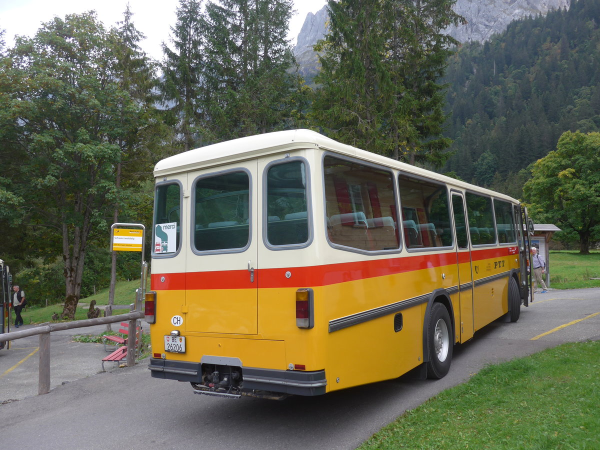 (197'800) - Schmid, Thrishaus - BE 26'206 - Saurer/Tscher (ex P 24'244) am 16. September 2018 auf der Schwarzwaldalp