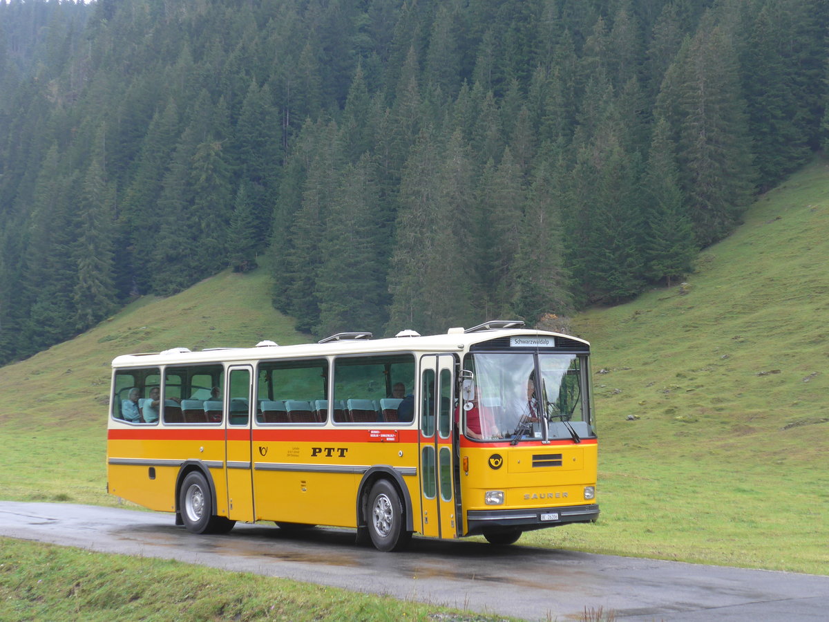 (197'821) - Schmid, Thrishaus - BE 26'206 - Saurer/Tscher (ex P 24'244) am 16. September 2018 in Gschwandtenmaad