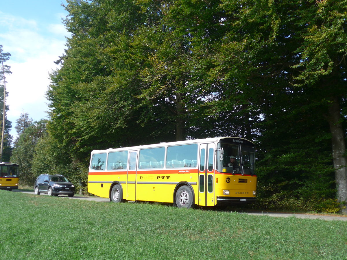 (198'007) - Inkamp, Altendorf - SZ 200'069 - Saurer/Tscher (ex Koch, Giswil; ex Selfors, Meiringen; ex P 24'236) am 30. September 2018 in Wasen, Huttwilstrasse