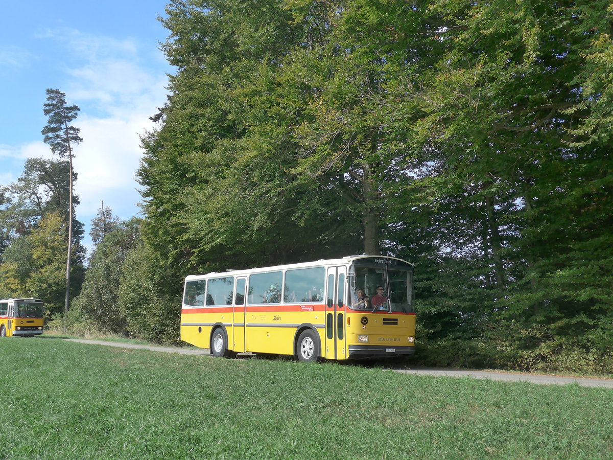 (198'012) - Huber, Oberkirch - LU 49'699 - Saurer/R&J (ex Frigg, Zernez; ex P 24'283) am 30. September 2018 in Wasen, Huttwilstrasse