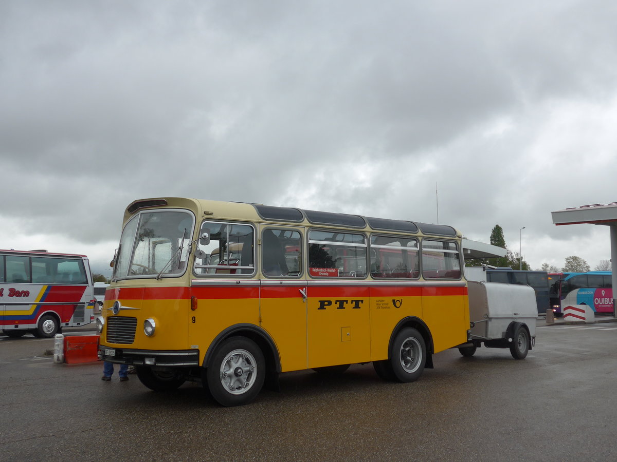 (203'918) - Aus der Schweiz: Schmid, Thrishaus - Nr. 9/BE 26'105 - Saurer/R&J (ex Geiger, Adelboden Nr. 9) am 26. April 2019 in Orschwiller, Raststtte