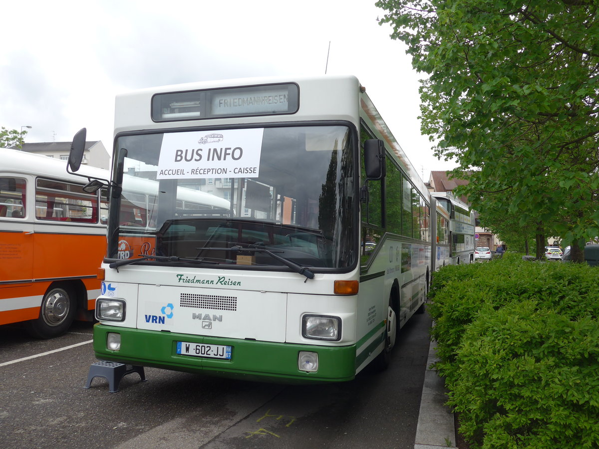 (203'945) - Aus Deutschland: Friedmann, Schweighofen (AAF) - W 602 JJ - MAN am 26. April 2019 in Haguenau, Parkplatz 