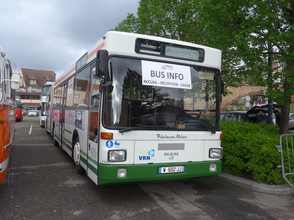 (204'488) - Aus Deutschland: Friedmann, Schweighofen (AAF) - W 602 JJ - MAN am 28. April 2019 in Haguenau, Parkplatz