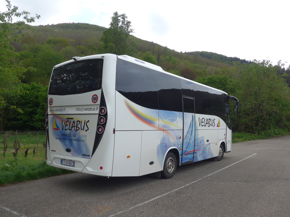 (204'531) - Aus Italien: Velabus, Rapallo - FT-619 EC - Iveco/Calipso2 am 28. April 2019 in Kaysersberg, Rocade Verte