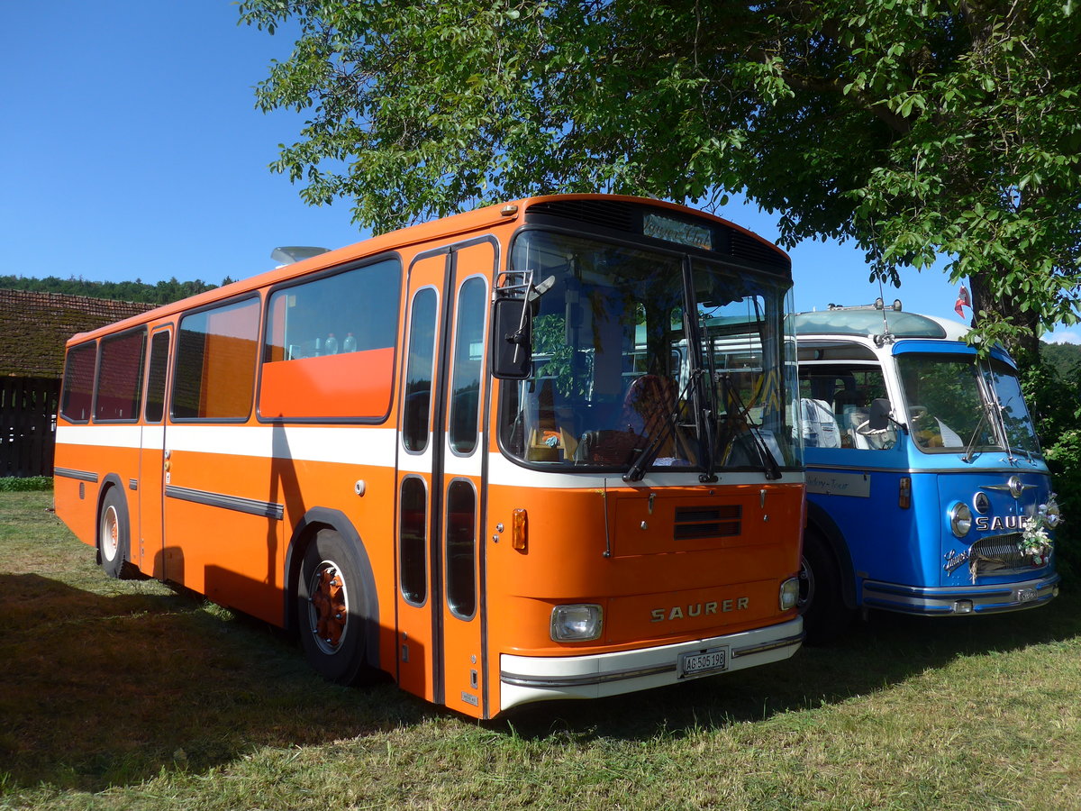 (205'764) - Mangold, Oberengstringen - AG 505'198 - Saurer/Hess (ex RhV Altsttten Nr. 45) am 8. Juni 2019 in Thayngen, Saurertreffen