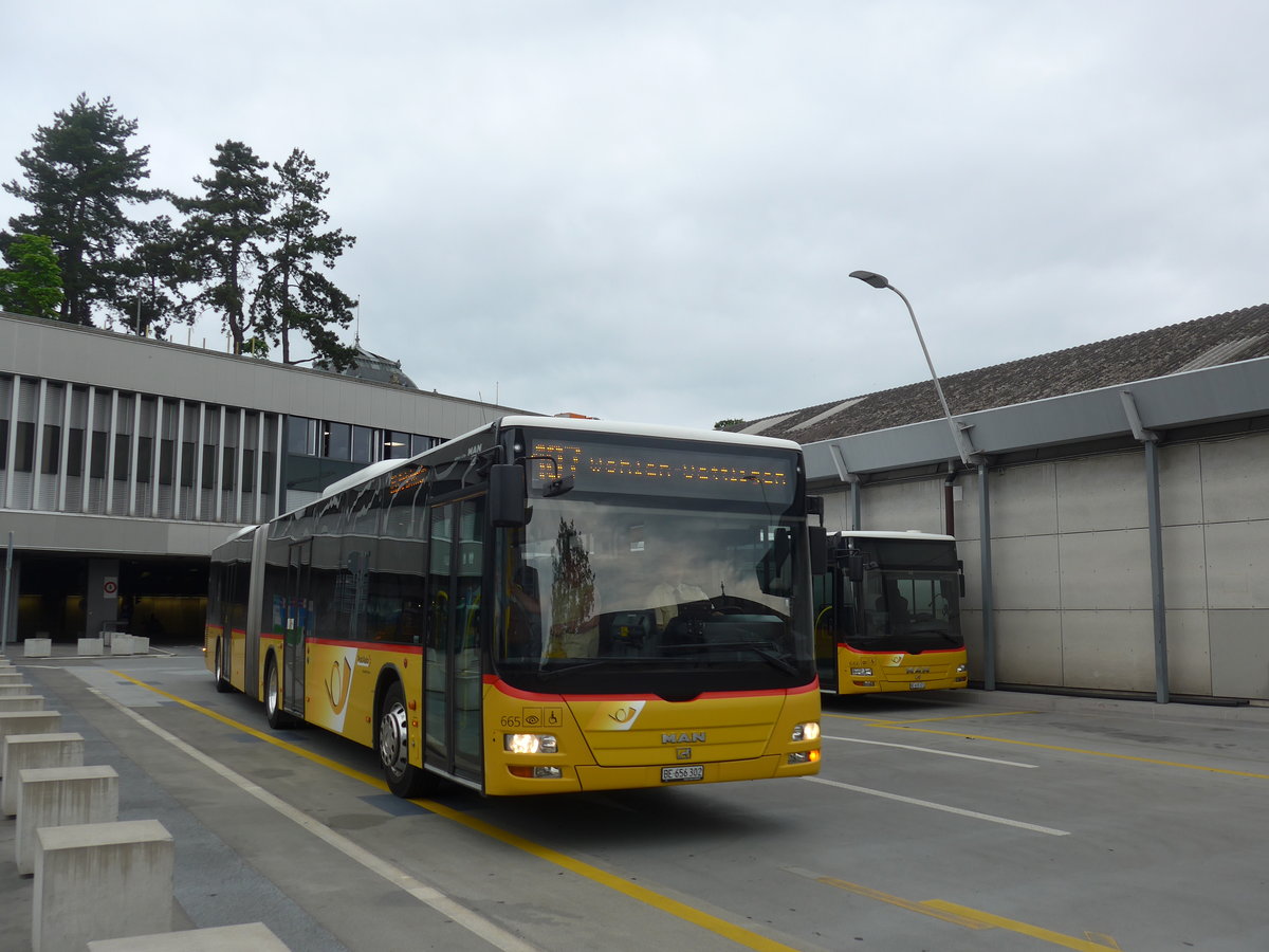 (206'470) - PostAuto Bern - Nr. 665/BE 656'302 - MAN am 22. Juni 2019 in Bern, Postautostation