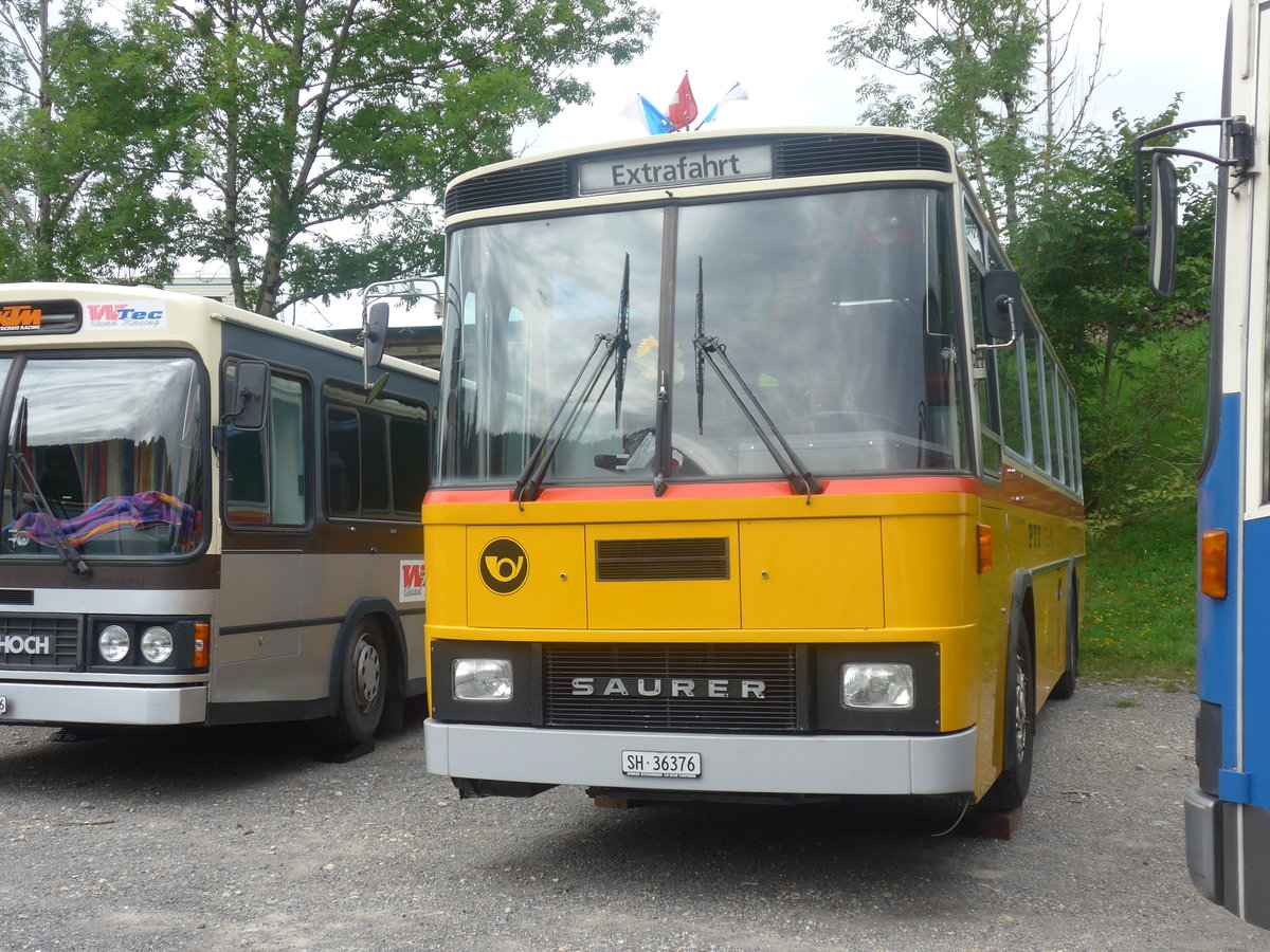 (208'807) - Roth, Zrich - SH 36'376 - Saurer/Tscher (ex Looser, Elm; ex Mattli, Wassen) am 17. August 2019 in Atzmnnig, Schutt