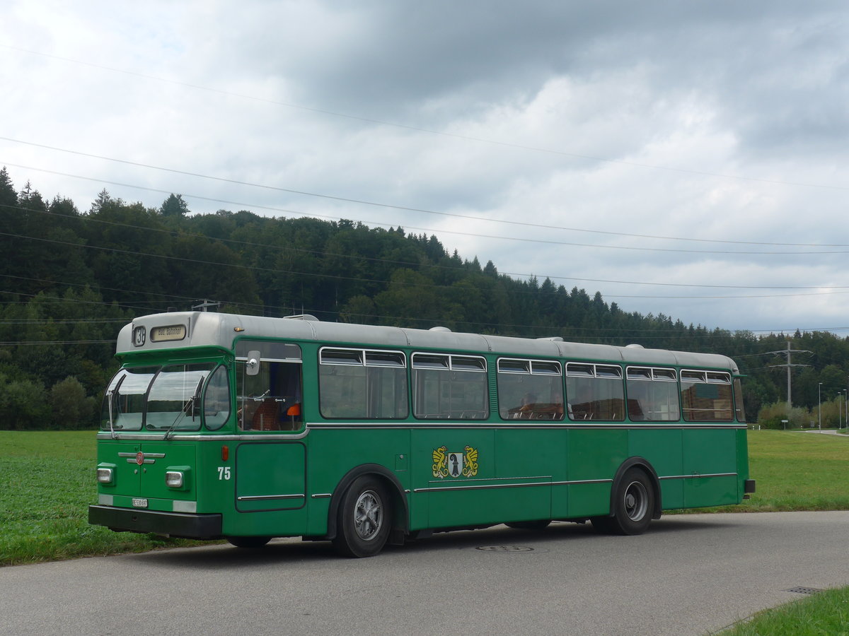 (209'241) - BVB Basel (RWB) - Nr. 75/BE 530'697 - FBW/FHS am 1. September 2019 in Wynigen, Landi