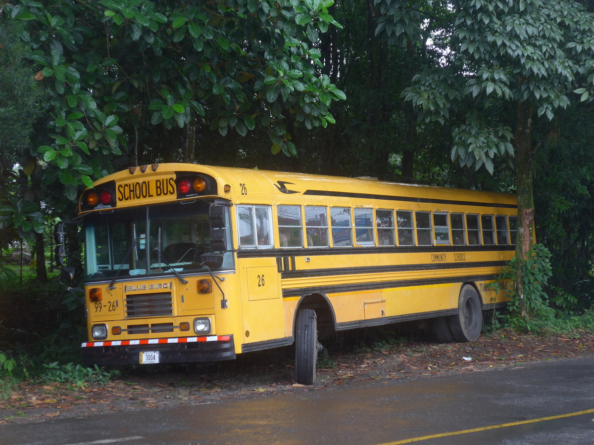 (211'754) - ??? - Nr. 26/3004 - Bluebird am 20. November 2019 in La Fortuna