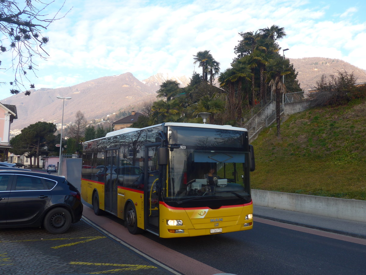 (213'824) - Starnini, Tenero - TI 263'726 - MAN am 18. Januar 2020 beim Bahnhof Tenero