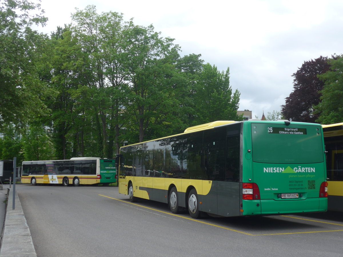 (217'023) - STI Thun - Nr. 602/BE 865'602 - MAN am 11. Mai 2020 bei der Schifflndte Thun