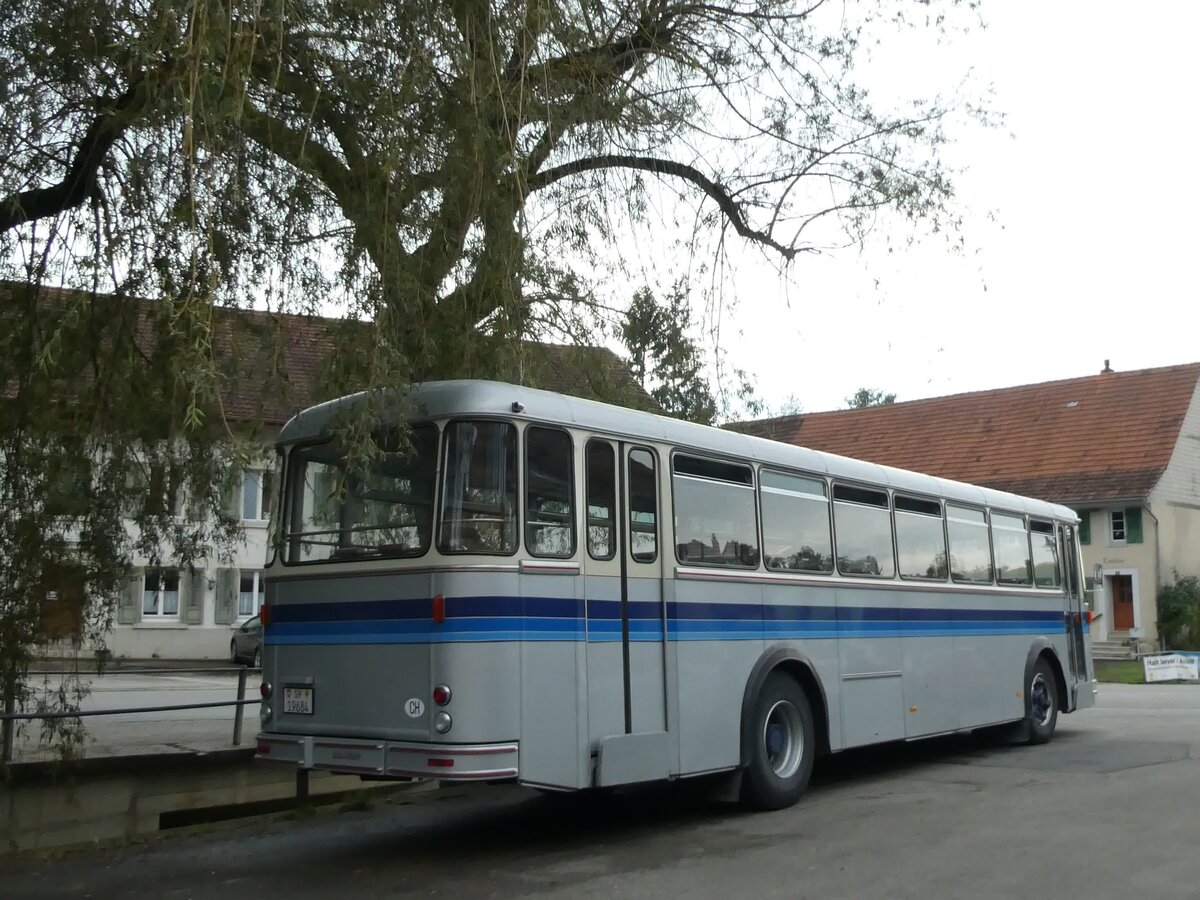 (228'412) - Borer, Neuhausen - SH 19'684 - Saurer/Tscher (ex Schttler, D-Kln; ex Braun, D-Mnster; ex Schmid, Hemishofen; ex Brtsch, Bttenhard; ex ASS Schleitheim Nr. 8) am 26. September 2021 in Beggingen, Dorf