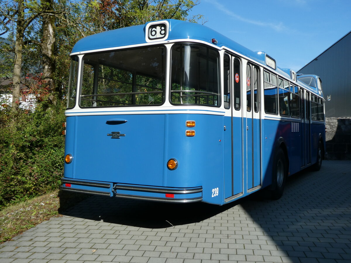 (228'526) - VBZ Zrich (FBW-Club) - Nr. 239 - FBW/Tscher Hochlenker (ex Kamm, Schlieren; ex VBZ Zrich Nr. 239; ex VBZ Zrich Nr. 219) am 2. Oktober 2021 in Nfels, FBW-Museum