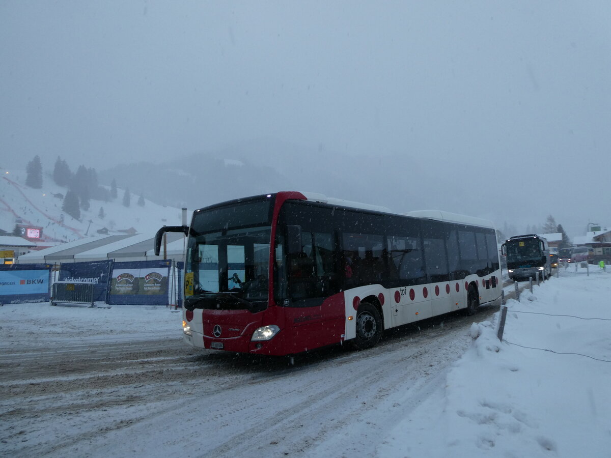 (231'823) - Wieland, Murten - Nr. 117/FR 300'586 - Mercedes am 9. Januar 2022 in Adelboden, Weltcup