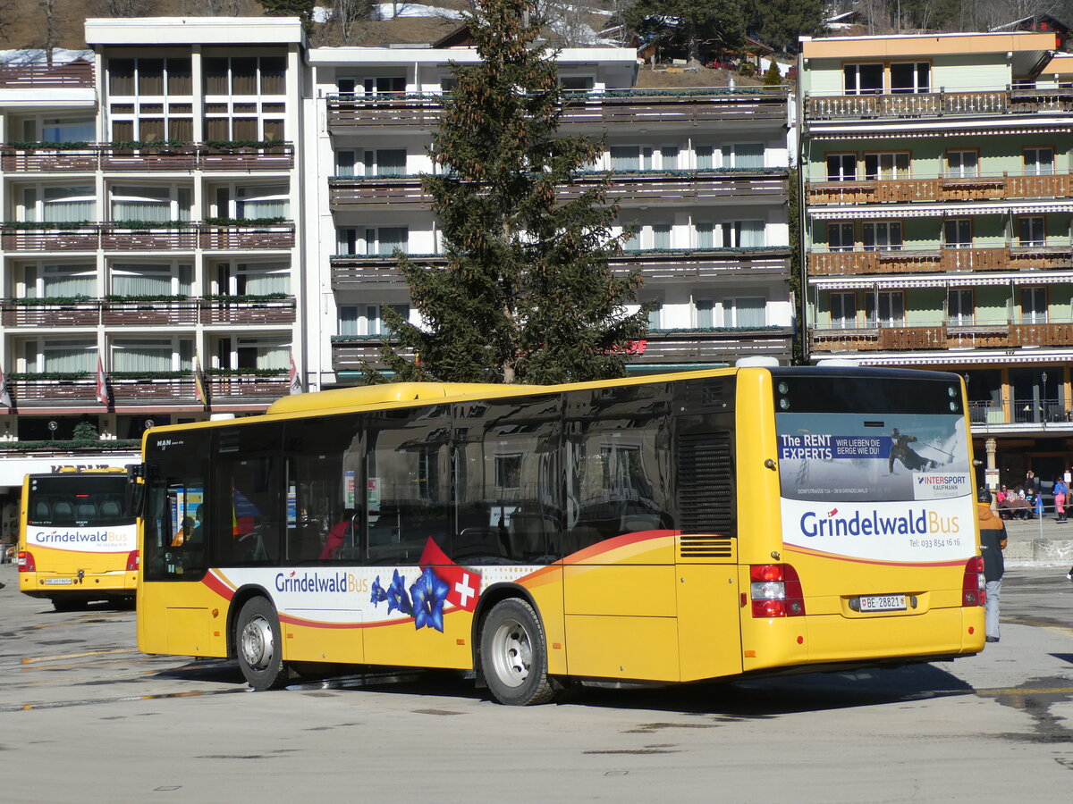 (232'849) - Grindelwaldbus, Grindelwald - Nr. 16/BE 28'821 - MAN am 13. Februar 2022 beim Bahnhof Grindelwald