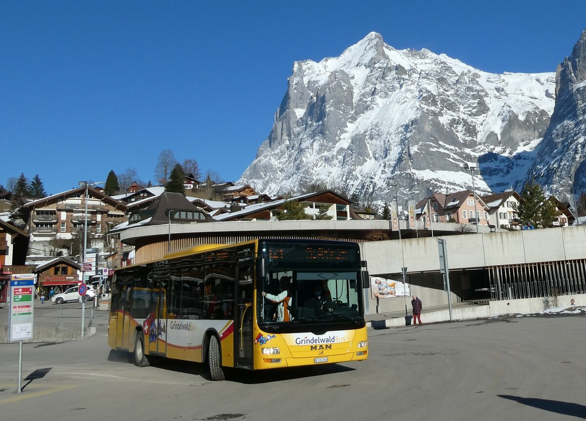 (233'294) - Grindelwaldbus, Grindelwald - Nr. 14/BE 202'568 - MAN/Gppel am 27. Februar 2022 beim Bahnhof Grindelwald