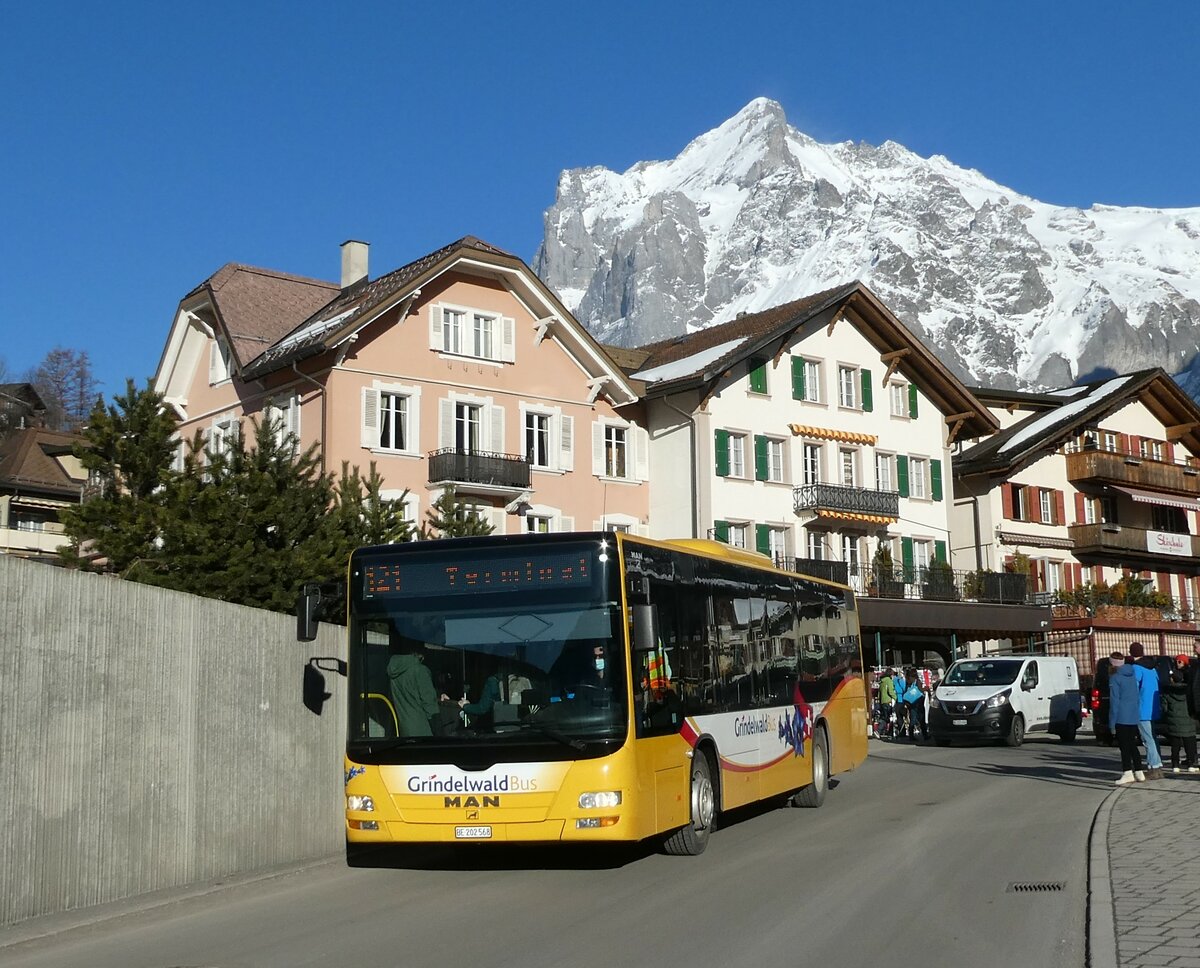 (233'310) - Grindelwaldbus, Grindelwald - Nr. 14/BE 202'568 - MAN/Gppel am 27. Februar 2022 in Grindelwald, Sportzentrum