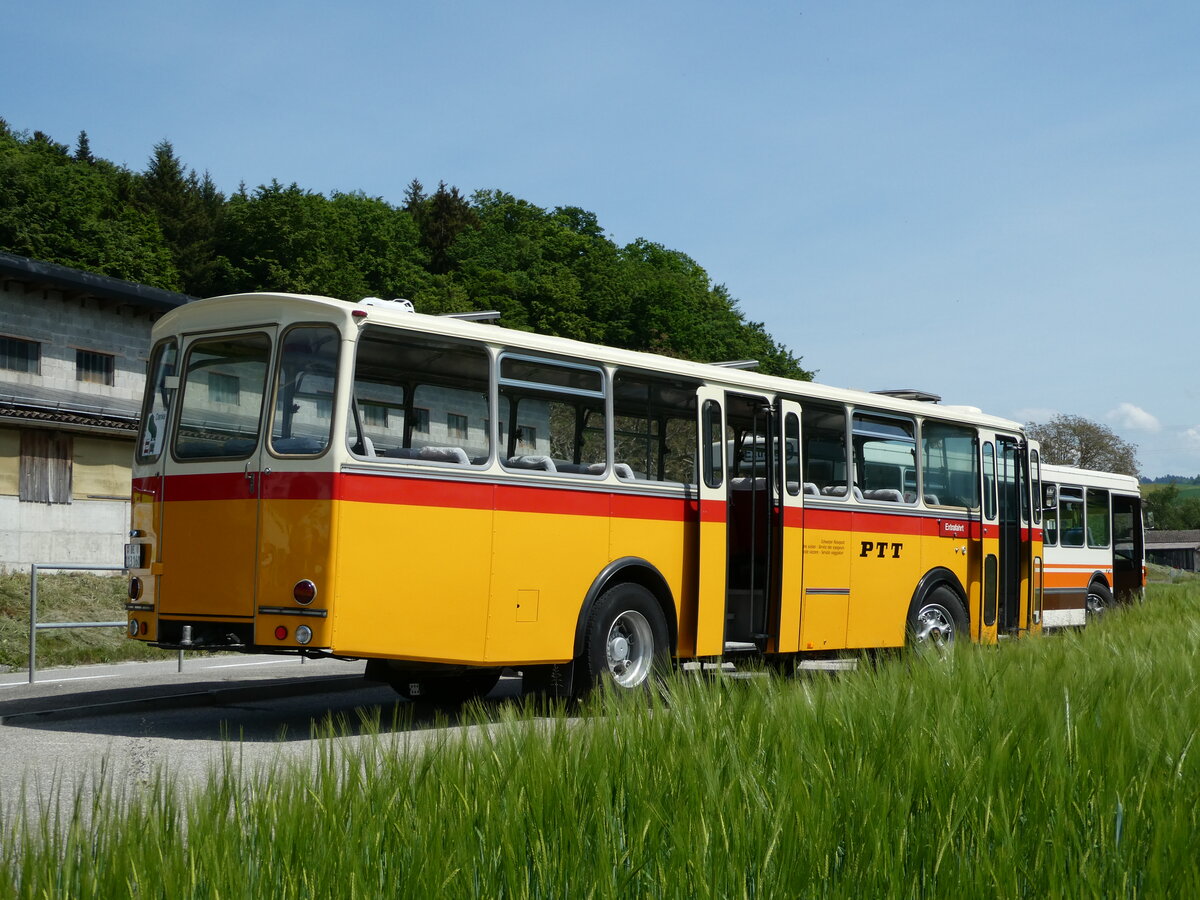 (235'676) - Gast, Reutigen - BE 113'160 - Saurer/Tscher (ex HPTrans, Thusis; ex Mauerhofer, Worb; ex Erni, Schupfart Nr. 3; ex P 24'636) am 15. Mai 2022 in Alchenstorf, Wil