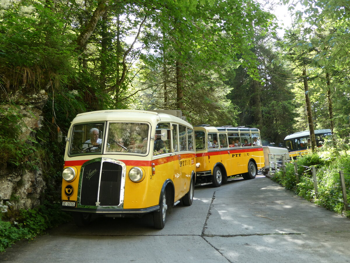 (237'693) - Schmid, Thrishaus - Nr. 3/BE 26'760 - Saurer/Gangloff (ex Geiger, Adelboden Nr. 3) am 26. Juni 2022 in Kiental, Tschingel