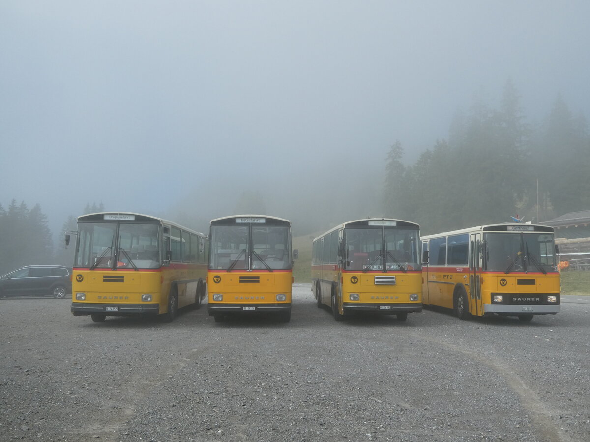 (239'780) - Kammermann, Zillis - Nr. 74/BE 243'579 - Saurer/R&J (ex AVG Meiringen Nr. 74; ex PostAuto Berner Oberland; ex P 24'357) + Schmid, Thrishaus - BE 26'206 - Saurer/Tscher (ex P 24'244) + Ackermann, Landquart - GR 106'362 - Saurer/R&J (ex Fssler, Unteriberg; ex Schrch, Gutenburg Nr. 6; ex P 24'358) + Roth, Zrich - SH 36'376 - Saurer/Tscher (ex Looser, Elm; ex Mattli, Wassen) am 28. August 2022 in Stalden, Langis