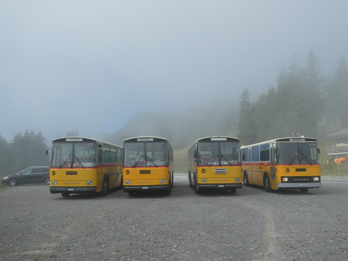 (239'781) - Krummenacher, Zillis - Nr. 74/BE 243'579 - Saurer/R&J (ex AVG Meiringen Nr. 74; ex PostAuto Berner Oberland; ex P 24'357) + Schmid, Thrishaus - BE 26'206 - Saurer/Tscher (ex P 24'244) + Ackermann, Landquart - GR 106'362 - Saurer/R&J (ex Fssler, Unteriberg; ex Schrch, Gutenburg Nr. 6; ex P 24'358) + Roth, Zrich - SH 36'376 - Saurer/Tscher (ex Looser, Elm; ex Matrtli, Wassen) am 28. August 2022 in Stalden, Langis