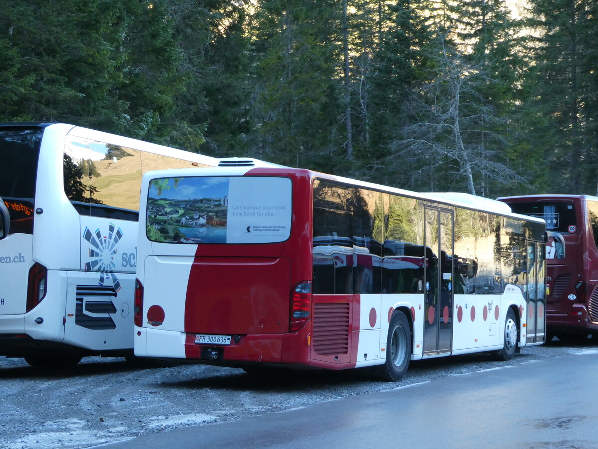 (244'699) - Wieland, Murten - Nr. 58/FR 300'636 - Setra am 7. Januar 2023 in Adelboden, Unter dem Birg