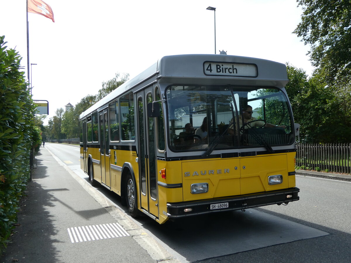 (255'294) - Wanner, Schleitheim - SH 48'096 - Saurer/Hess (ex Ruklic, Schaffhausen; ex VBSH Schaffhausen Nr. 40; ex VBSH Schaffhausen Nr. 19) am 17. September 2023 in Schaffhausen, Nordstrasse