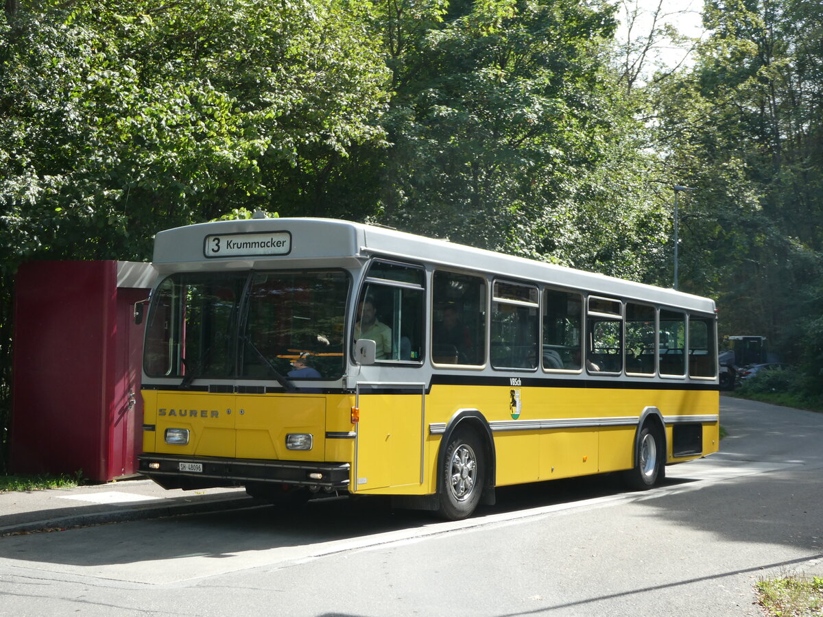 (255'302) - Wanner, Schleitheim - SH 48'096 - Saurer/Hess (ex Ruklic, Schaffhausen; ex VBSH Schaffhausen Nr. 40; ex VBSH Schaffhausen Nr. 19) am 17. September 2023 in Schaffhausen, Sommerwies