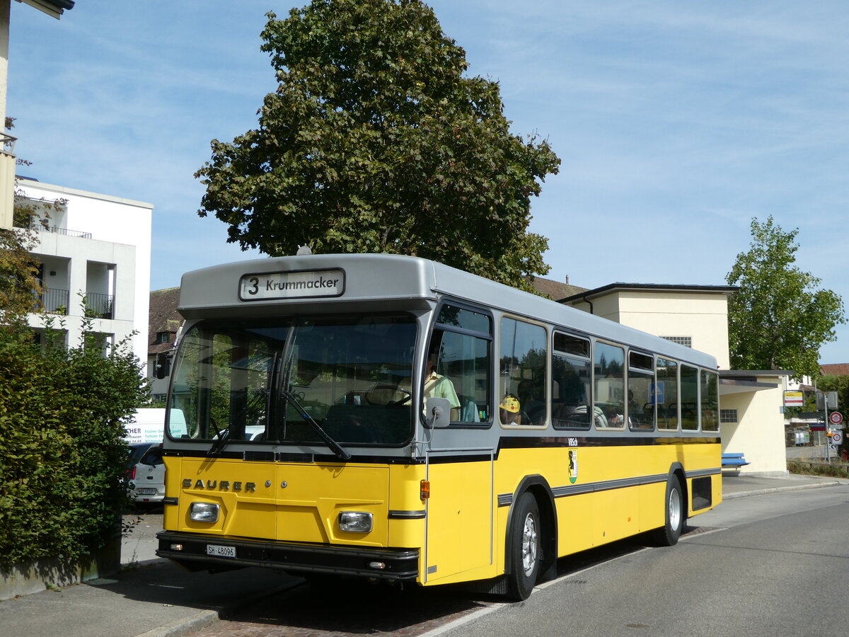 (255'315) - Wanner, Schleitheim - SH 48'096 - Saurer/Hess (ex Ruklic, Schaffhausen; ex VBSH Schaffhausen Nr. 40; ex VBSH Schaffhausen Nr. 19) am 17. September 2023 in Schaffhausen, Neubrunn