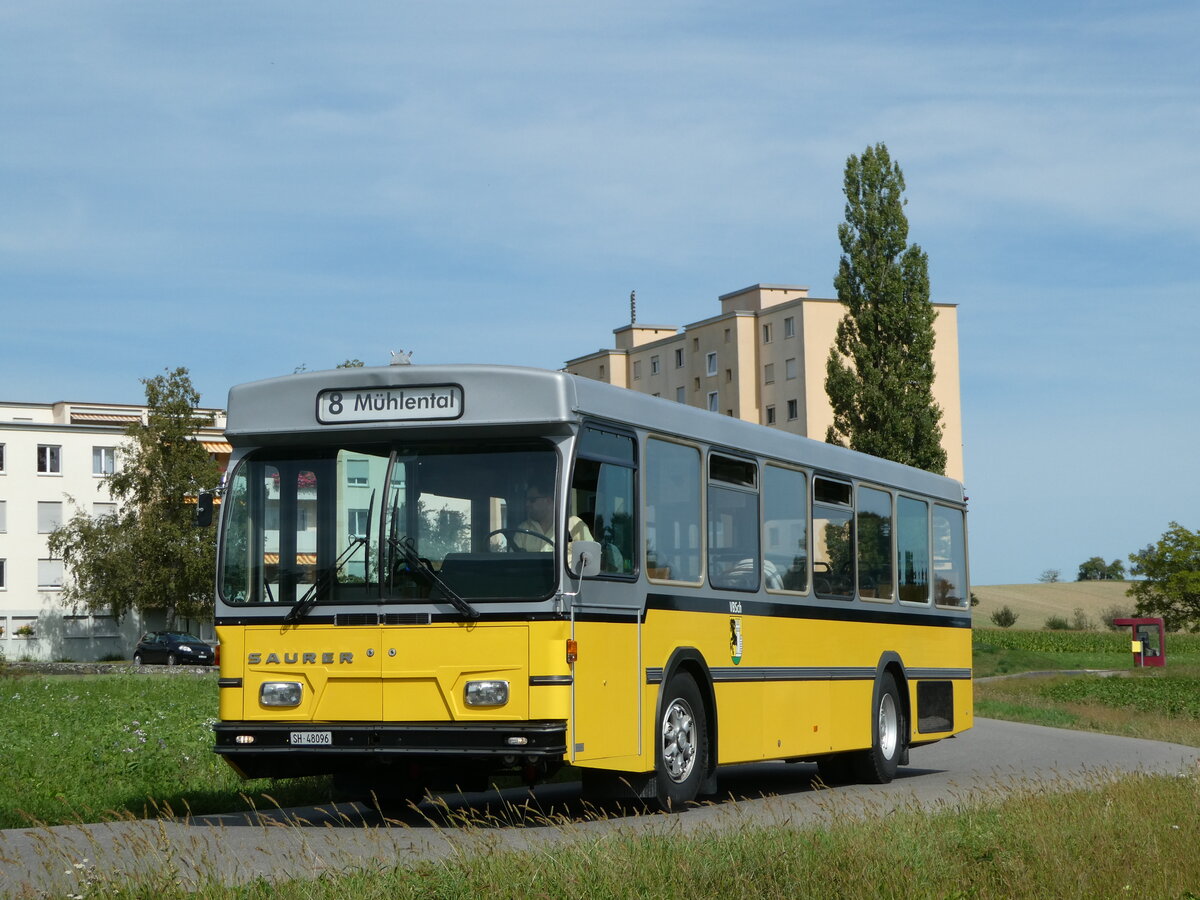 (255'325) - Wanner, Schleitheim - SH 48'096 - Saurer/Hess (ex Ruklic, Schaffhausen; ex VBSH Schaffhausen Nr. 40; ex VBSH Schaffhausen Nr. 19) am 17. September 2023 in Schaffhausen, Vgelingsschen