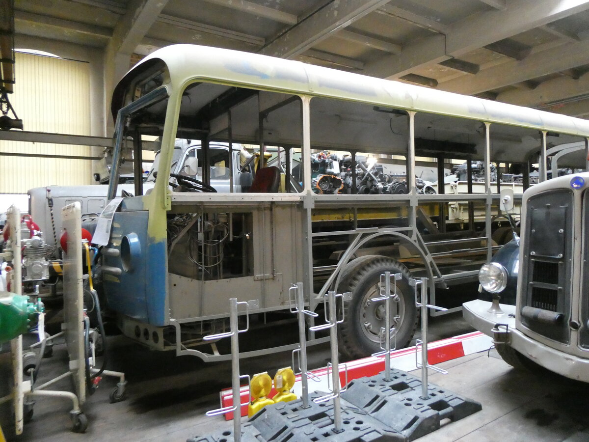 (264'035) - VBZ Zrich (OCS) - Nr. 553 - Saurer/Saurer (ex Nr. 201) am 27. Juni 2024 in Arbon, Saurermuseum Depot (Teilaufnahme; 1. Gelenkautobus der Schweiz!)