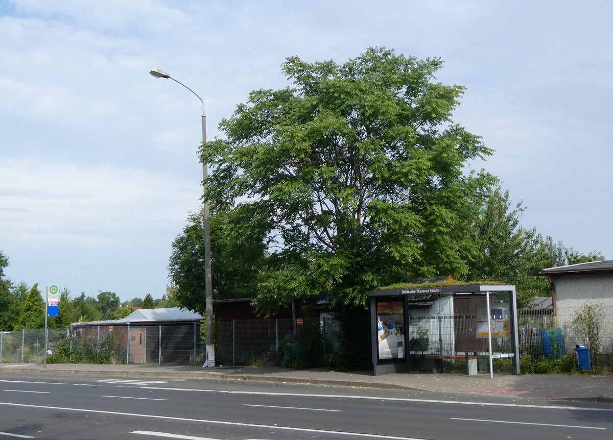 (264'543) - LVB-Haltestelle am 10. Juli 2024 in Leipzig, Delitzscher/Essener Strasse