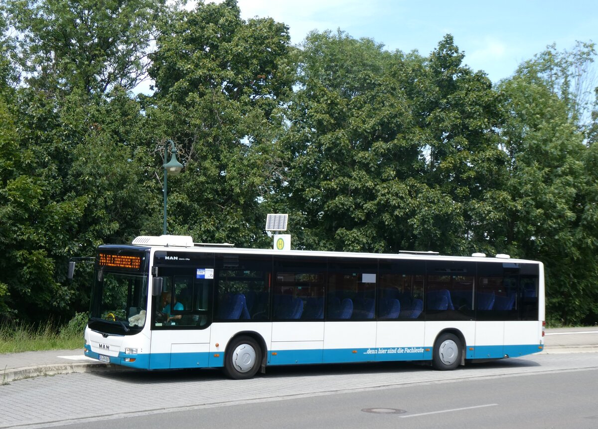 (264'585) - PNVG Querfurt - SK-PN 867 - MAN am 10. Juli 2024 beim Bahnhof Bad Drrenberg