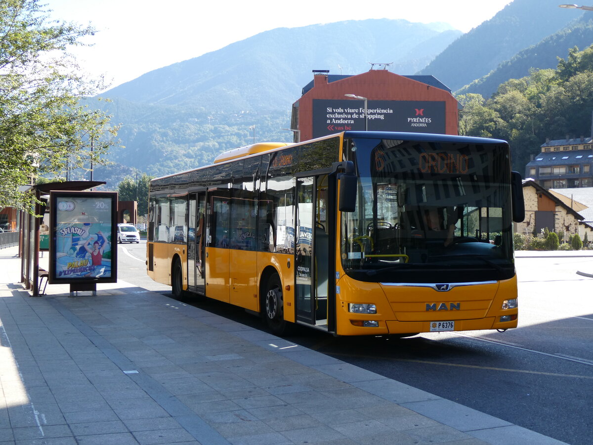 (267'274) - Coopalsa, Andorra la Vella - P6376 - MAN am 19. September 2024 in Andorra la Vella, Estaci Nacional Autobusos 