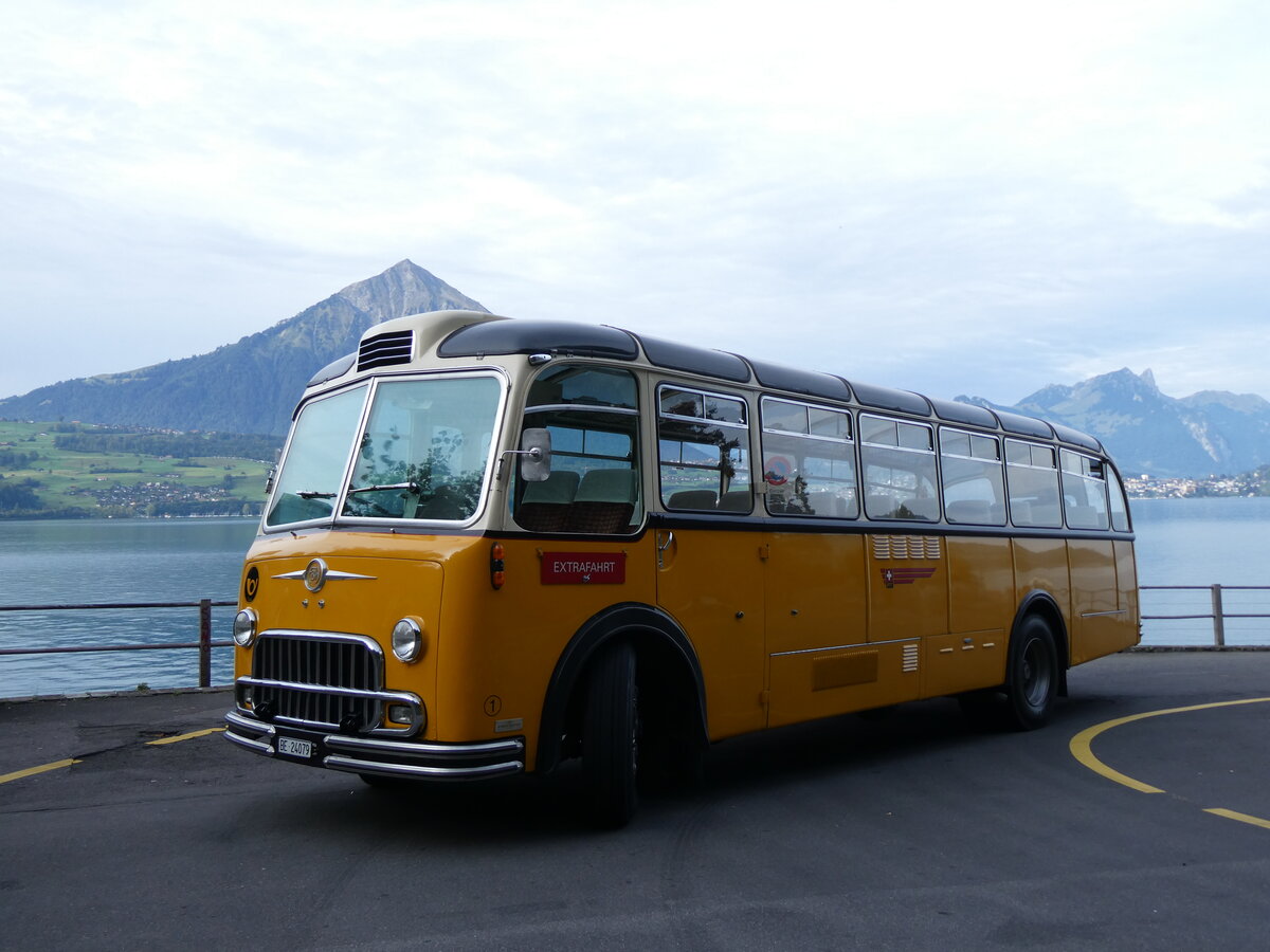 (267'420) - Gast, Reutigen - Nr. 1/BE 24'079 - FBW/FHS (ex Lambach, Gommiswald; ex Hotz, Rickenbach bei Wil/TG; ex P 24'079; ex P 21'579) am 22. September 2024 in Merligen, Beatenbucht