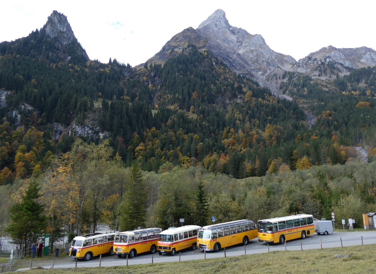 (268'046) - Schmid, Thrishaus - BE 26'206 - Saurer/Tscher (ex P 24'244) am 12. Oktober 2024 in Kiental, Tschingelsee