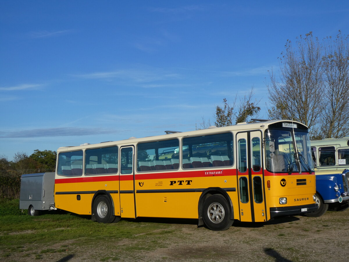 (268'440) - Aus der Schweiz: Schmid, Thrishaus - BE 26'206 - Saurer/Tscher (ex P 24'244) am 25. Oktober 2024 in Kintzheim, Cigoland