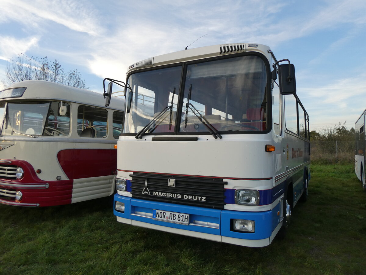 (268'480) - Buck's Reisen, Grossheide - NOR-RB 81H - Magirus-Deutz am 25. Oktober 2024 in Kintzheim, Cigoland