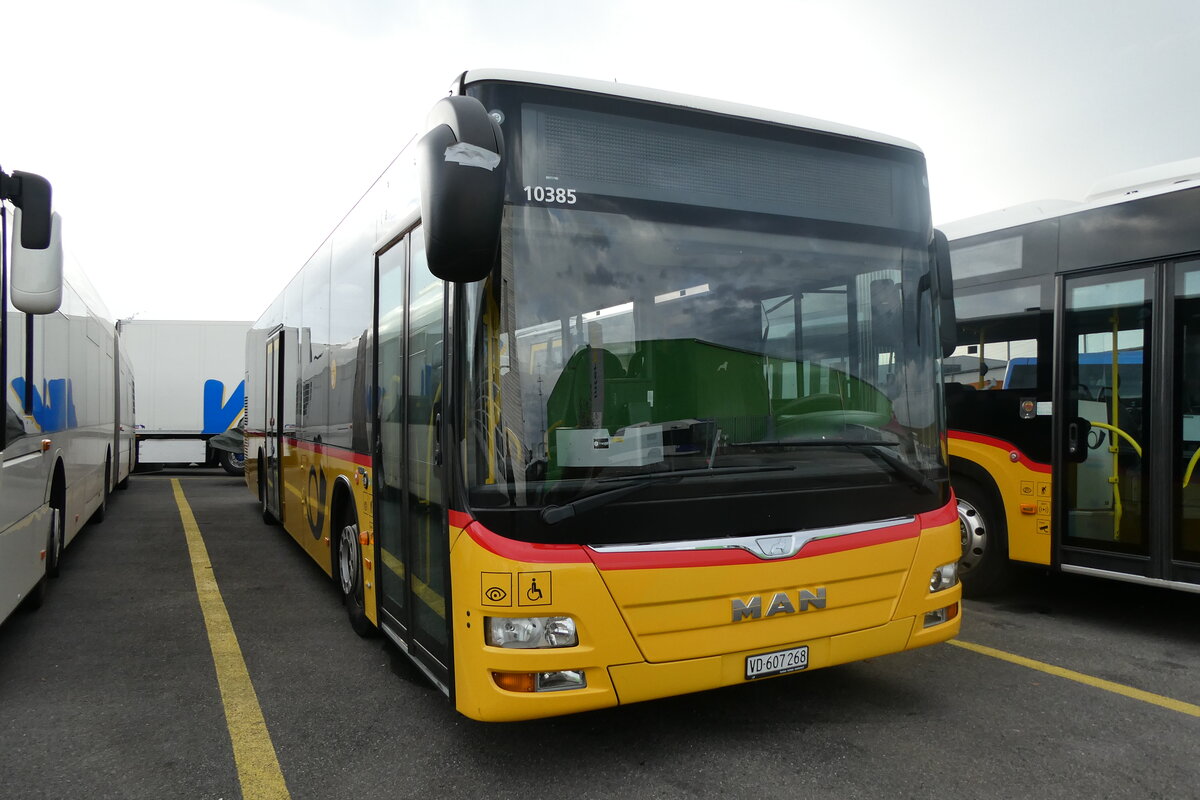 (282'469) - CarPostal Ouest - VD 607'268/PID 10'385 - MAN (ex JU 52'241; ex Nr. 60) am 15. November 2025 in Kerzers, Interbus
