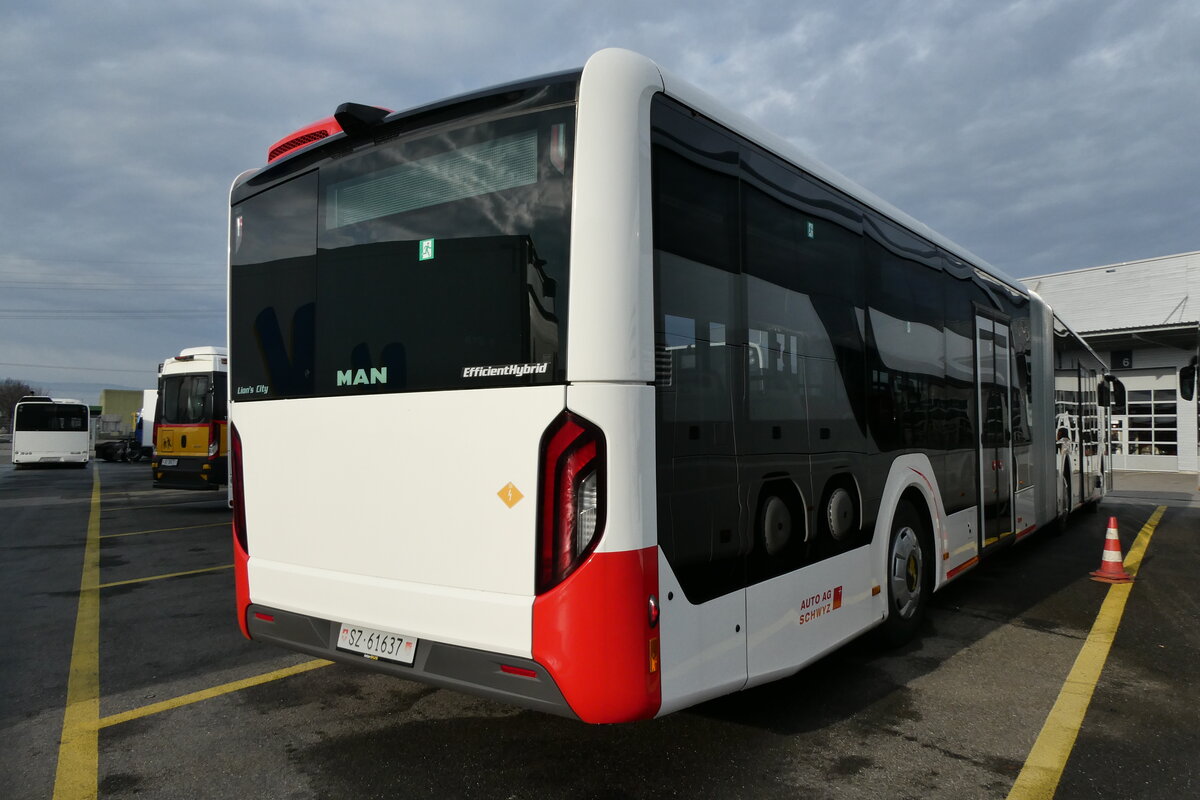 (283'349) - AAGS Schwyz . Nr. 37/SZ 61'637 - MAN am 20. Dezember 2025 in Kerzers, Interbus 