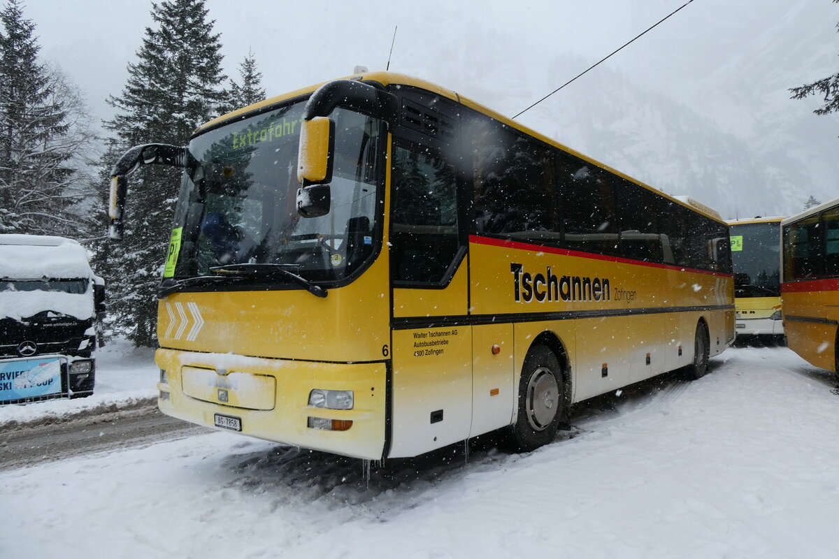 (283'905) - Tschannen, Zofingen - Nr. 6/AG 7858 - MAN (ex STI Thun Nr. 39) am 10. Januar 2026 in Adelboden, Unter dem Birg